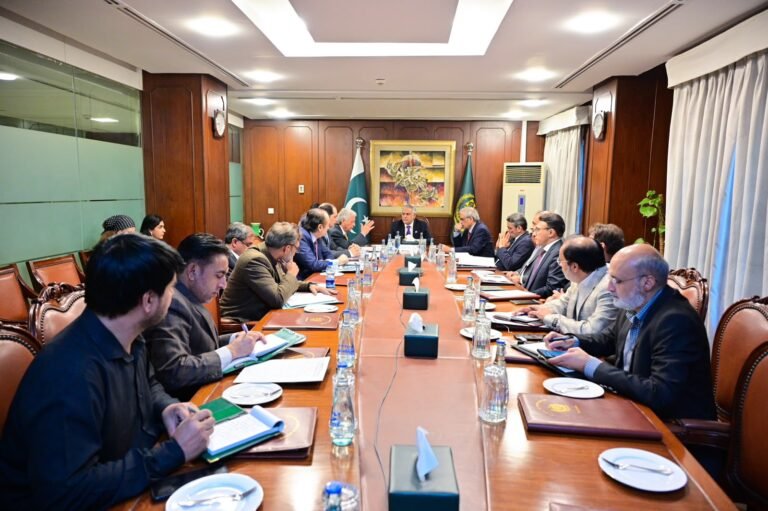DPM Dar for maintaining robust food security safeguards to protect domestic consumers from market volatility