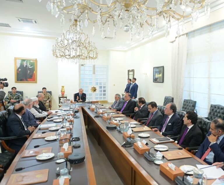 PM, Jamaat-e-Islami delegation agree to form committee on petroleum relief, levy reduction
