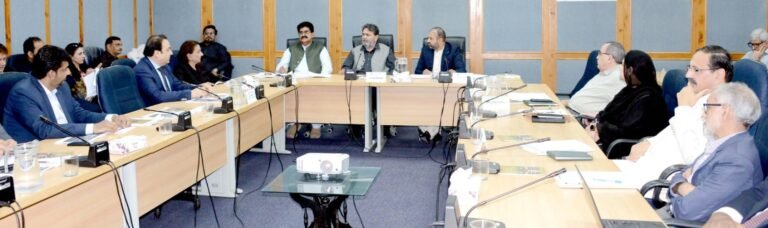 Senate panel reviews investment facilitation, power sector oversight, pending govt business