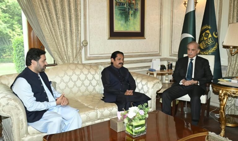 PA Deputy Speaker Malik Zaheer Iqbal Channar,MNA Malik Muneer Iqbal Meet PM