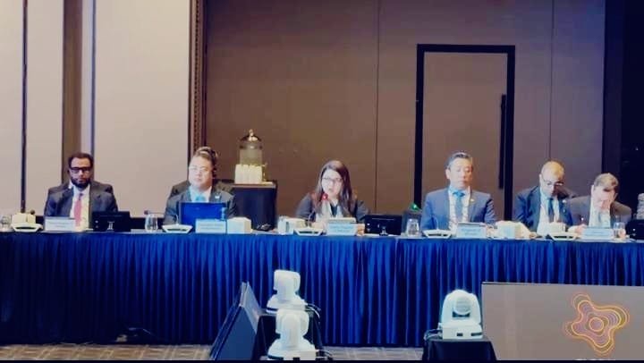 IT Minister Shaza highlights digital, AI compacts at Seoul Summit