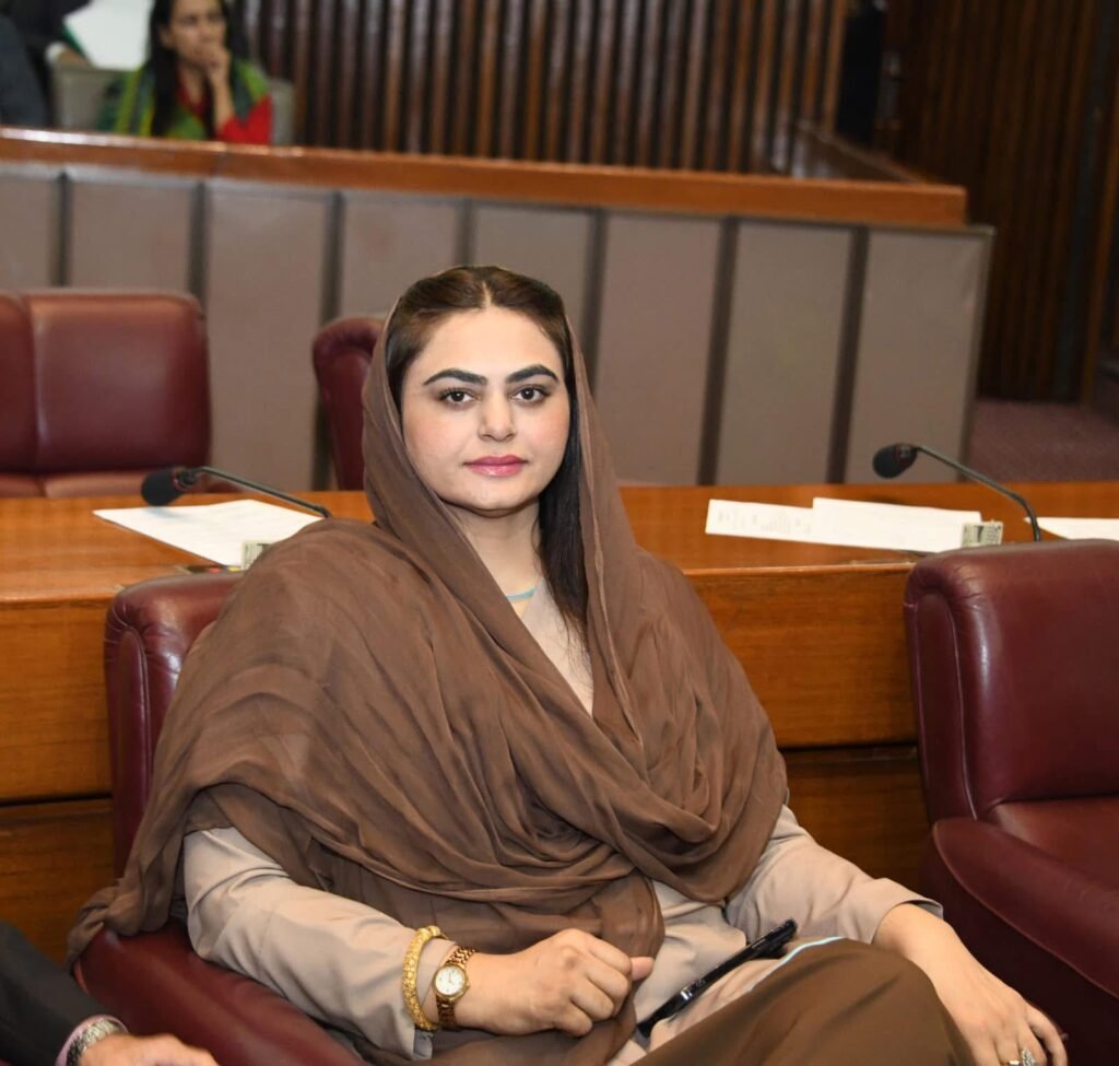 Shumaila Rana urges national unity, says anti statements could benefit adversaries