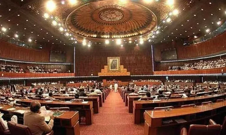 NA passes motion to form parliamentary committee on electoral reforms