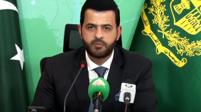 Political stability, public security top government priorities: Danyal Chaudhry