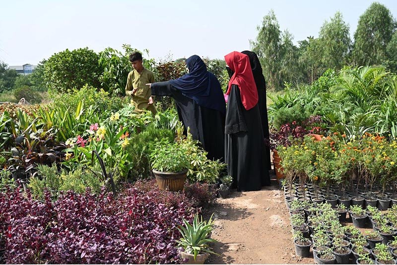 Women nature enthusiasts select seasonal outdoor plants for their home garden at a roadside nursery along the Expressway.