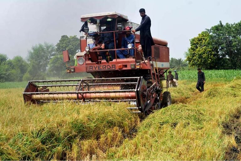 Farmers warn of climate change risks,food security challenges