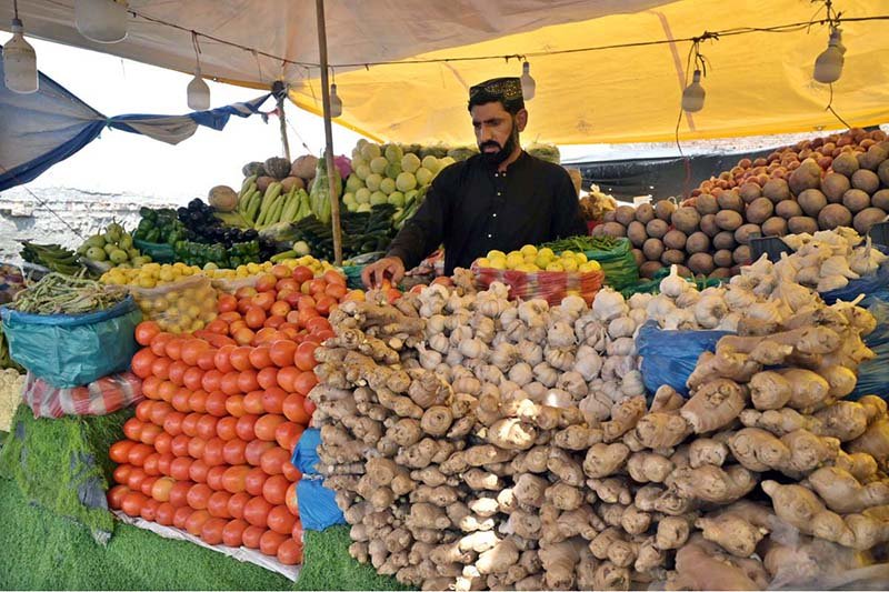 Kitchen gardening offers fresh, affordable vegetables at home