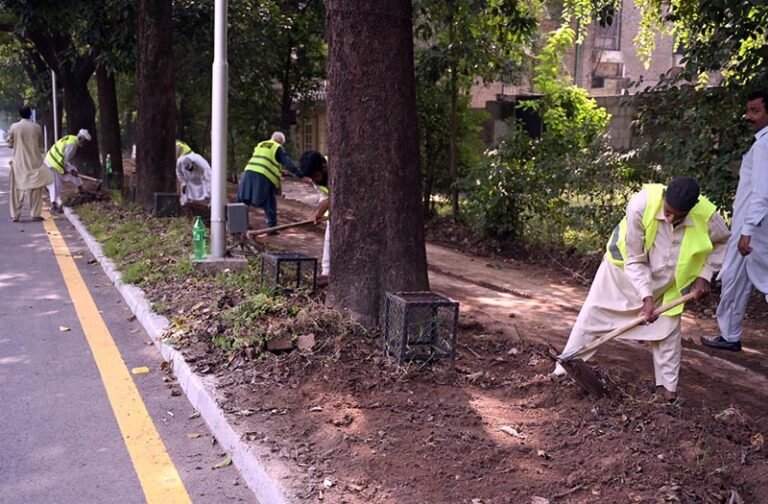 CDA workers prepare a green belt for sapling plantation in Sector F-6 of the Federal Capital.