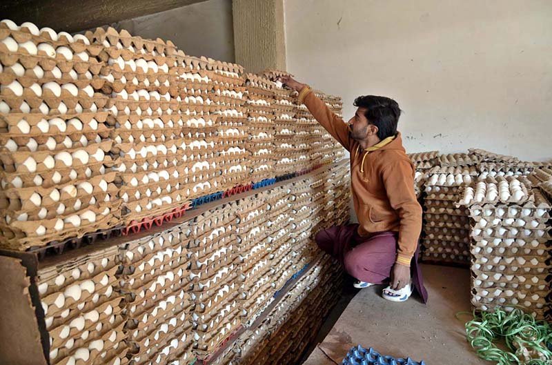 A vendor arranges eggs to attract the customers at his shop near Khana Pul.