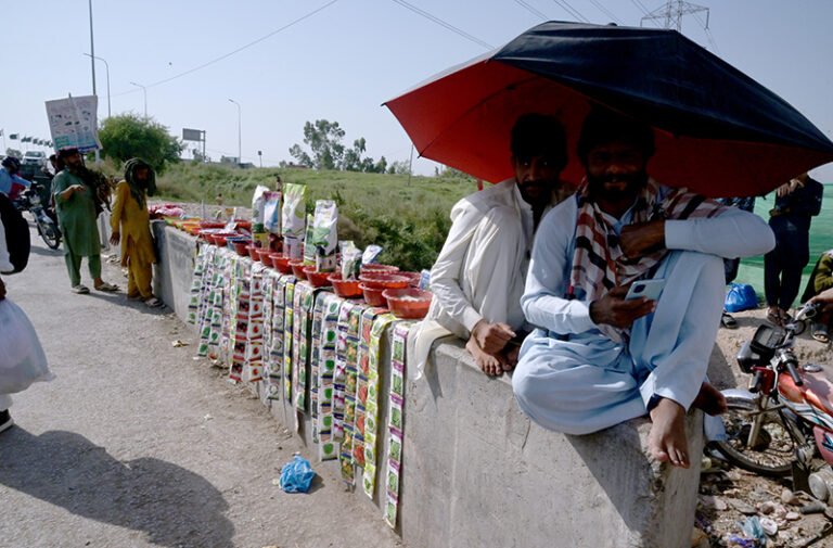 A man sells vegetable and flower seeds along the roadside at Khanna Pul