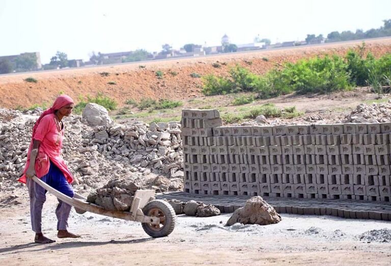 A lady labourer pushing hand cart loaded with mud for preparing bricks at brick kiln, Tando Hyder