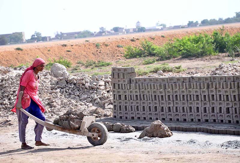 A lady labourer pushing hand cart loaded with mud for preparing bricks at brick kiln, Tando Hyder