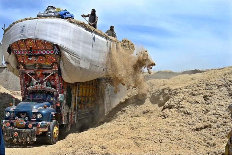 Farmers trained in wheat cultivation