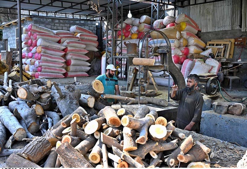Workers cut logs into firewood at a local sawmill to meet domestic heating and cooking needs as winter approaches.