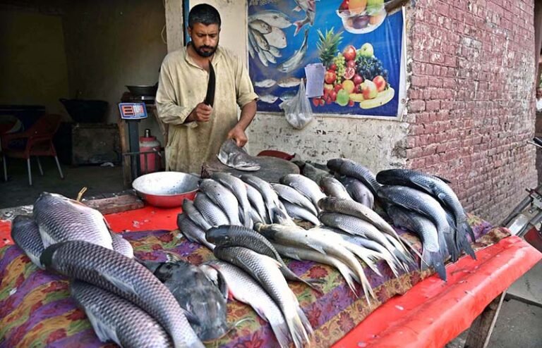 A fish vendor cuts fresh fish for customers at his stall near Railway Chowk as demand for fish rises in the city