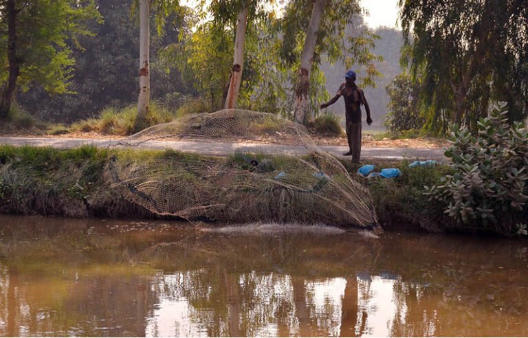 A man throws fishing net into the Noubahar Canal to catch fish