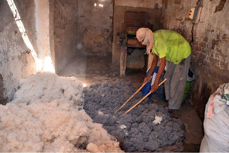 A labourer arranges cotton for making filling quilts ahead of the winter season at his workplace