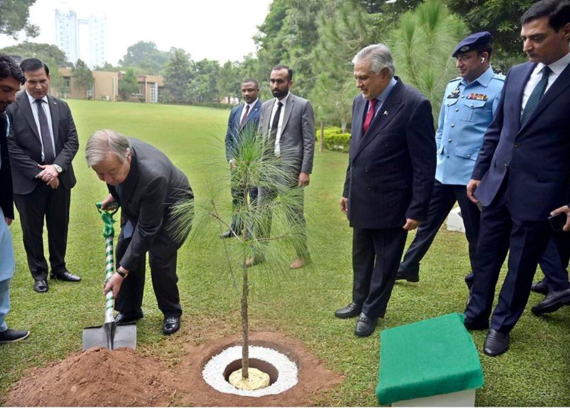 UN Secretary-General António Guterres plants a pine sapling as a memento at the Ministry of Foreign Affairs.