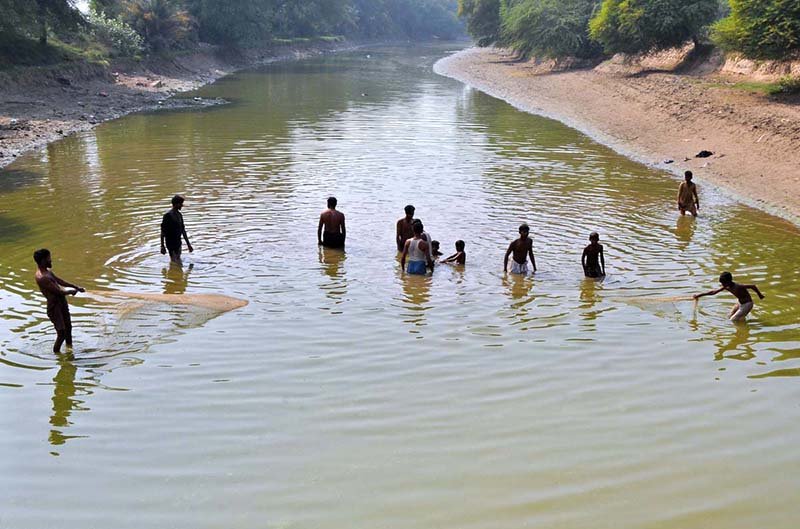 A group of local residents setup fishing nets to catch fish in Sikandri Canal.