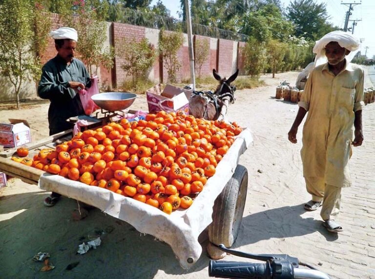A roadside vendor displays seasonal persimmons to attract passersby in the city