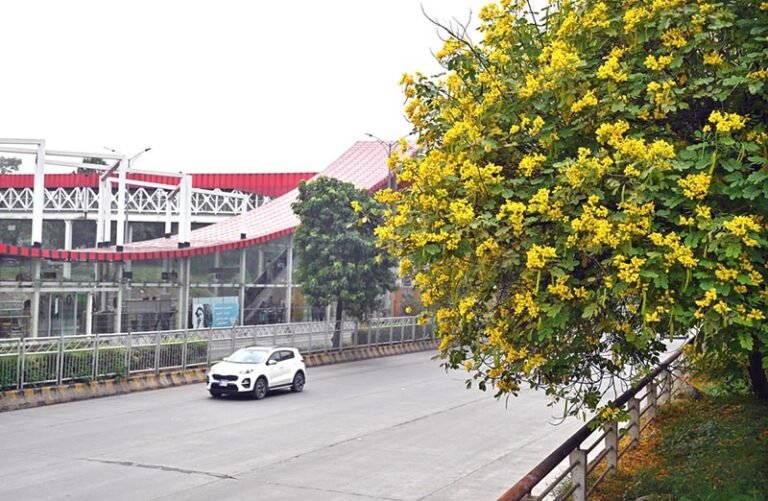 An attractive view of seasonal flowers flourishing along 9th Avenue to enhance its beauty.