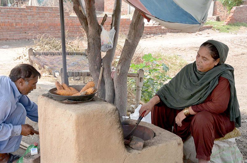 A woman vendor roasts corn cobs at her roadside stall to attract customers on the outskirts of the city.
