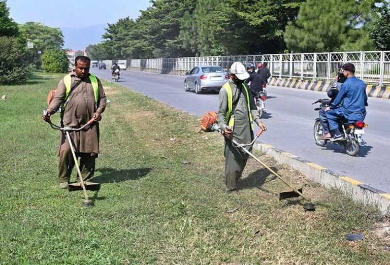 A CDA worker busy trimming grass along the roadside greenbelt in the Federal Capital