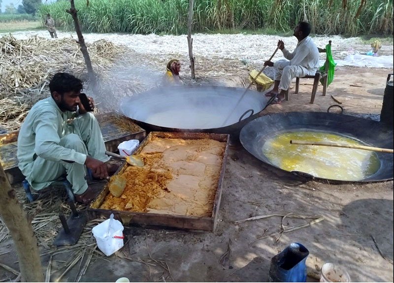 Farmer prepare traditional jaggery (gur) from sugarcane juice at a roadside setup in a field on the outskirts of GT Road.