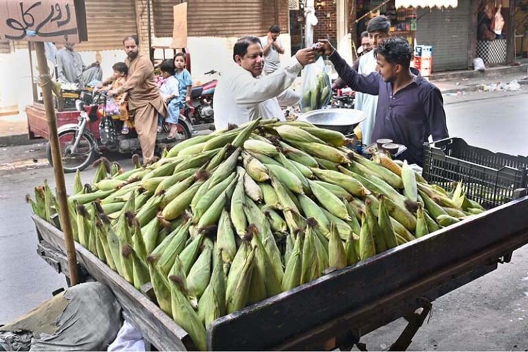 A vendor is selling corn to the customers at his setup