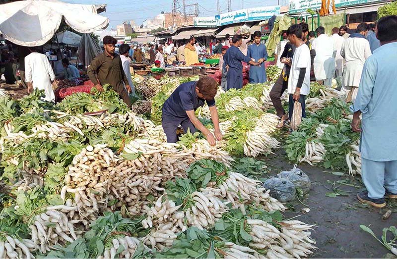 People are busy purchasing radish from Vegetables and Fruit Market at Jhang Road