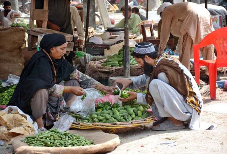 A woman vendor displays and sells fresh vegetables at a local market to earn a livelihood for her family.