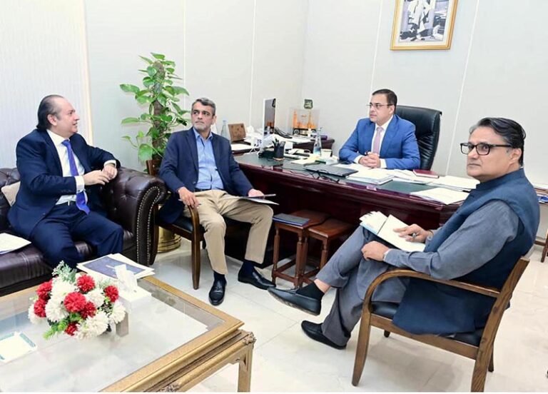 Federal Minister for Economic Affairs Ahad Cheema chairs a meeting on Rice Production in federal capital .