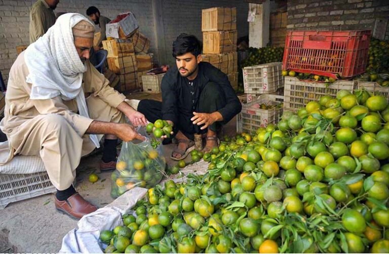 A vendor sells fresh Oranges “Kino” at a local market as the citrus sales increase with the arrival of winter in the provincial capital.