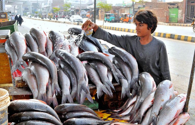 A young roadside fish vendor sprinkles water over fish to keep them fresh at his makeshift stall as part of his daily business.