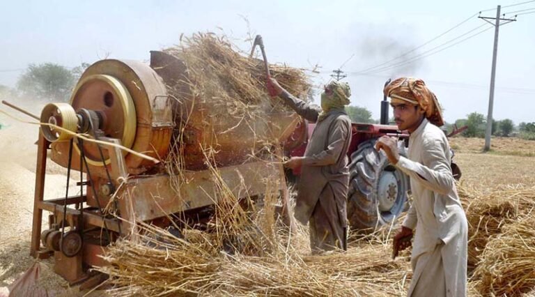 Rawalpindi targets 416,000 acres for wheat cultivation in FY 2026-27