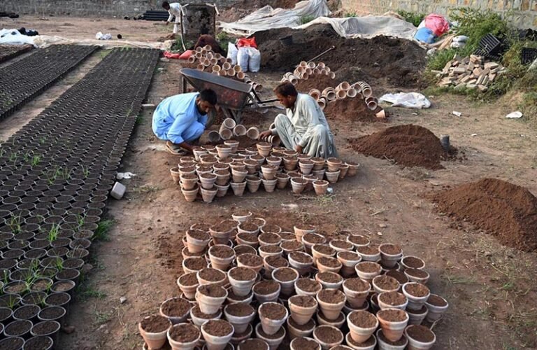 Nursery workers prepare rows of clay pots with soil for planting at a local nursery H-9 in the Federal Capital.