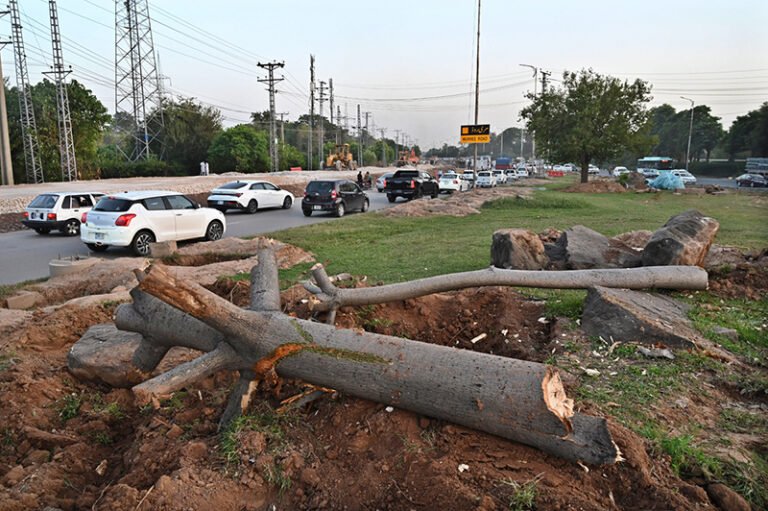 Trees are being cleared to facilitate the construction of a diversion road ahead of the commencement of the Kashmir Chowk Underpass project in the Federal Capital
