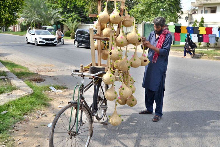A shopkeeper displays bird’s nests on his bicycle to attract customers in the Tipu Road.