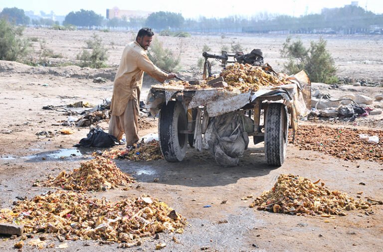 A labourer is drying leftover food in the sun to make chicken feed at his workplace