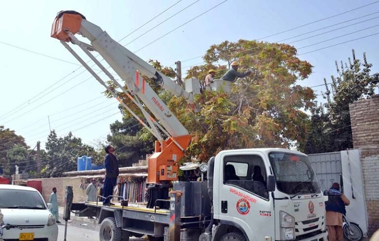 QESCO personnel busy to cut trees which touched electric wires creating problems for power supply at Pishin stop