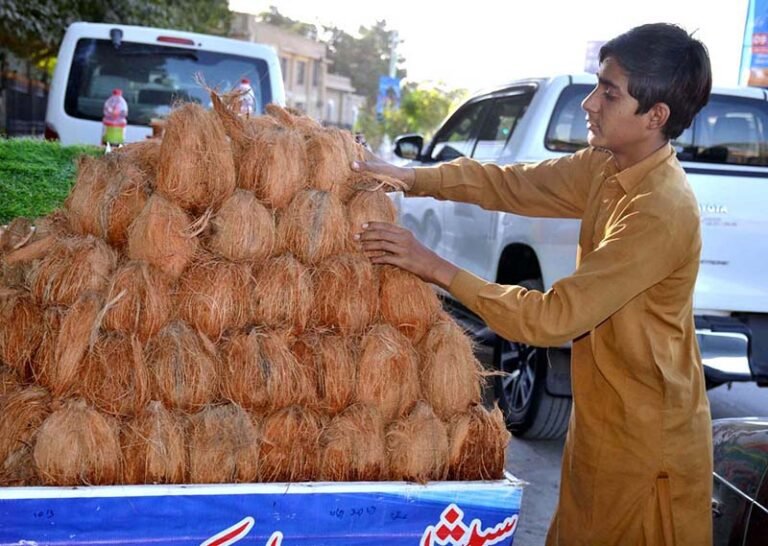 A young vendor arranges coconuts on a handcart to earn a living on Quetta’s Liaquat Park Road.