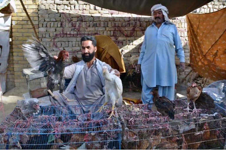 Man purchasing country hen from a vendor at Meezan Chowk