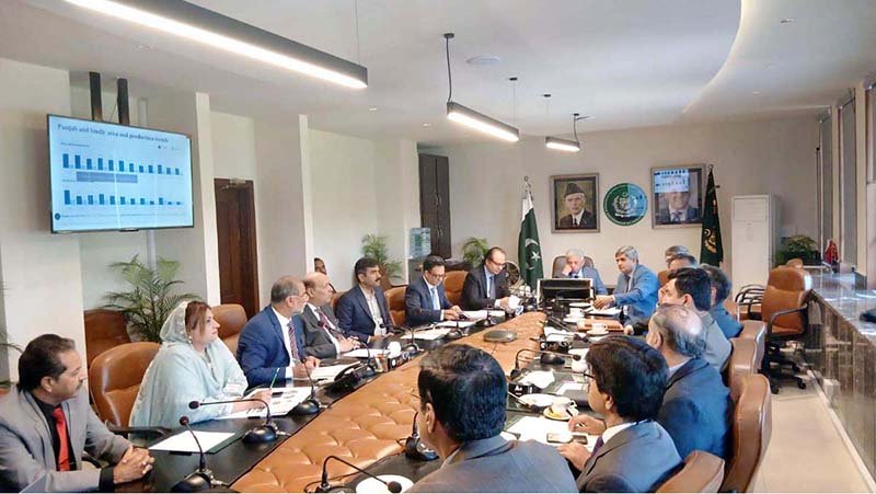 Federal Minister Rana Tanveer Hussain chairs a high-level meeting to review the Cotton Revival Strategy, focusing on boosting production, seed reforms and farmers’ profitability.