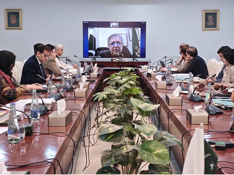 Federal Minister for Law and Justice Senator Azam Nazeer Tarar chairs a meeting of the Cabinet Committee for Disposal of Legislative Cases via video link.