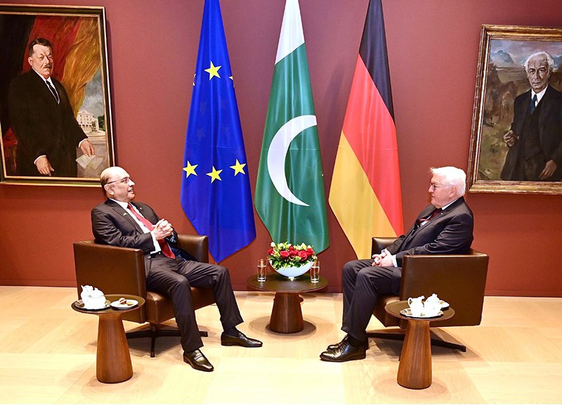 President Asif Ali Zardari in a meeting with German President Dr. Frank-Walter Steinmeier at the Office of the President