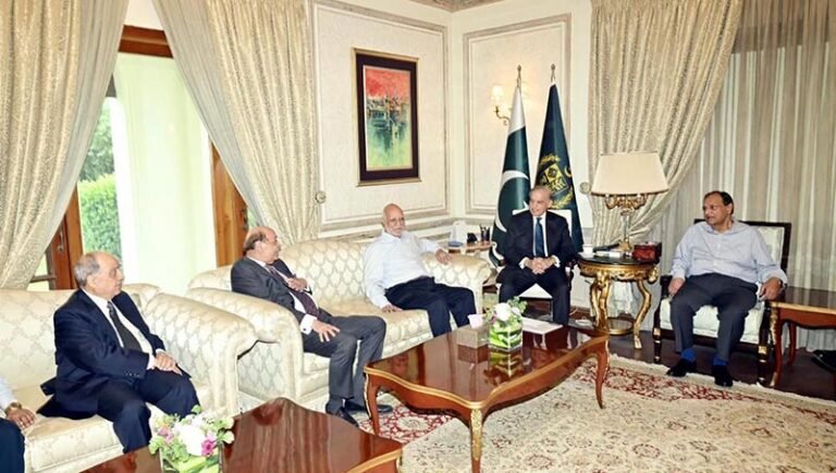 A delegation of the Founders Group of the Lahore Chamber of Commerce and Industry called on Prime Minister Muhammad Shehbaz Sharif