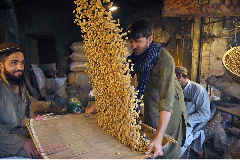 A labourer cleaning peanuts in a traditional way at Firdous Market