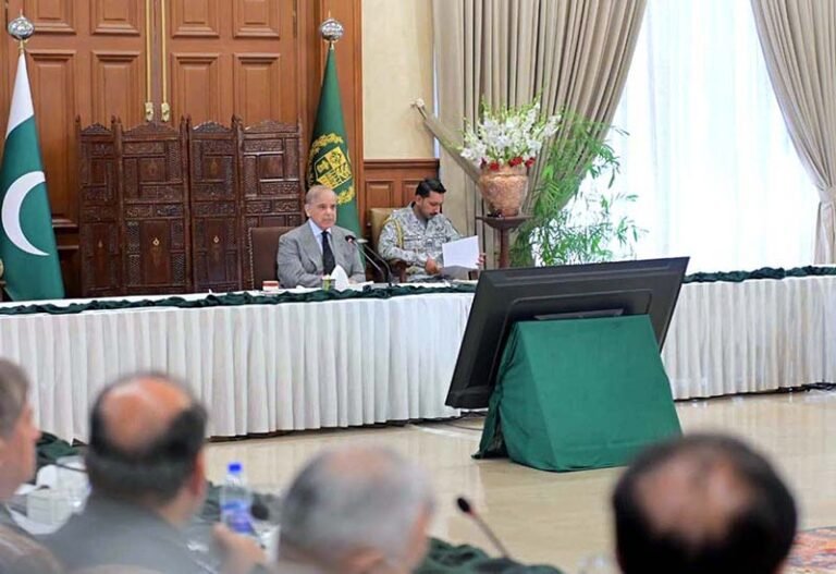 Prime Minister Muhammad Shehbaz Sharif addresses the meeting of Federal Apex Committee under the National Action Plan