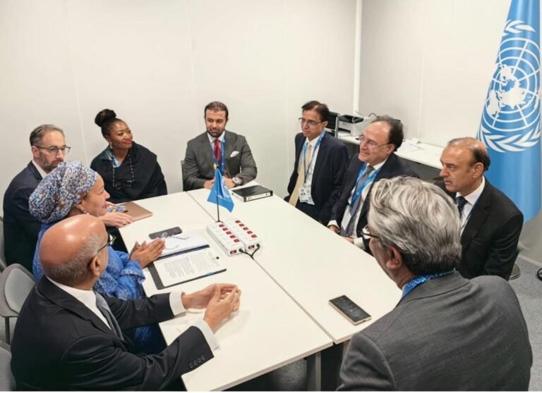 Aurangzeb, UN deputy secretary-general discuss development, climate financing