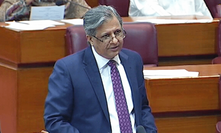 Azam Tarar calls for equal official passport rules for Senate, NA members